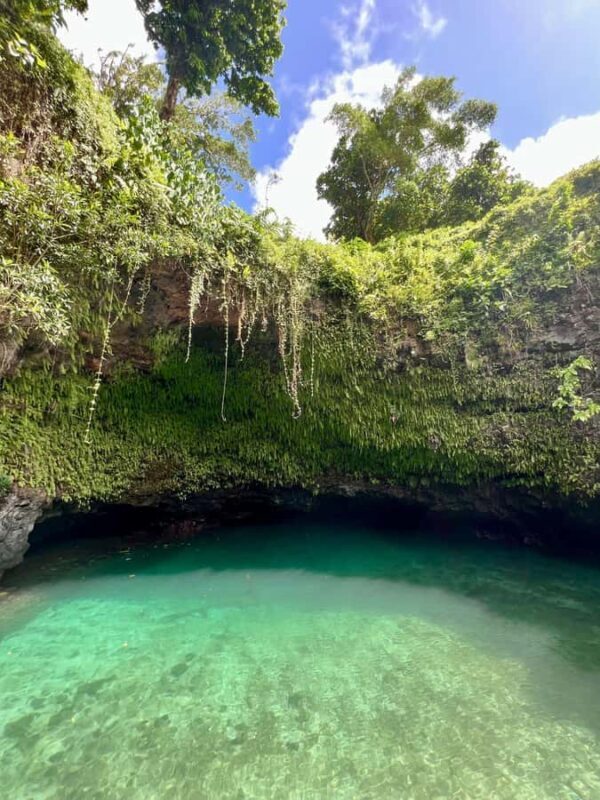 Adventour Samoa: To Sua Trench/Swimming Hole - The Sum Up