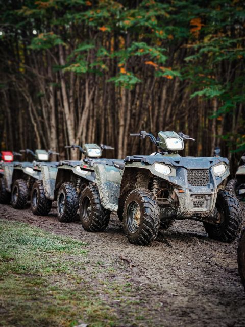 Adventure 360º in Quads With Lunch - What to Expect During the Tour