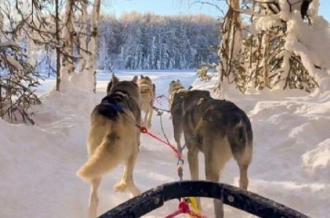 Adventure Awaits Dog Sledding on Stunning Alaskan Trails - Final Word
