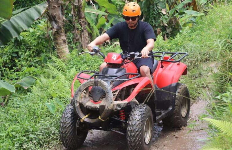 Adventure Bali: ATV Trails, Waterfalls & Jungle Caves - The Itinerary: A Deep Dive into the Adventure