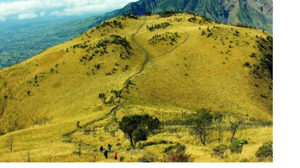 Adventure Climbing Rinjani Mountain 3 Days - 2 Nights - Additional Information