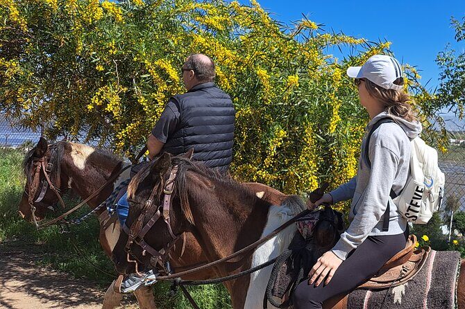 Adventure Delight The Ultimate Combo Ride at Desert Trails - A Closer Look at the Experience