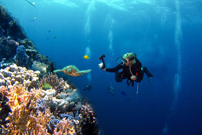 Adventure Diving in San Andres for Beginners 4 Hours - What to Expect on the Dive