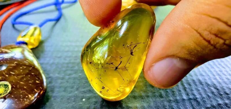 Adventure from Miches: Los Haitises, Caño Hondo, and Yanigua - A Close Look at the Tour Itinerary and Experience