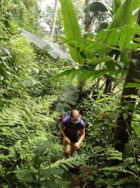 Adventure Hike in Doi Suthep-Pui National Park - Included Services