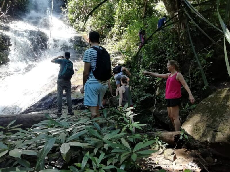 Adventure Hike in Doi Suthep-Pui National Park - What to Expect