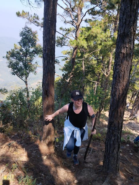 Adventure Hike in Doi Suthep-Pui National Park - Pricing and Cancellation