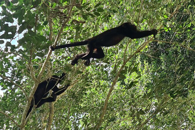 Adventure in Calakmul departing from Campeche - The Sum Up: Is It Worth It?