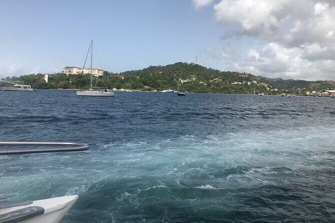 Adventure in the bay of samana and waterfall El limon from punta cana - Value for Money and Overall Impression