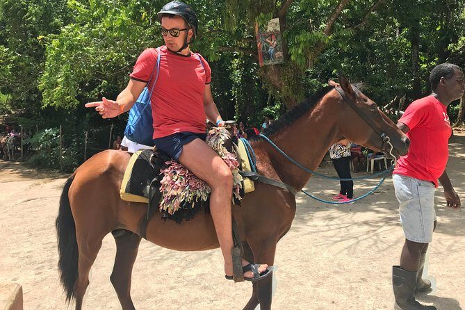 Adventure in the bay of samana and waterfall El limon from punta cana - FAQ