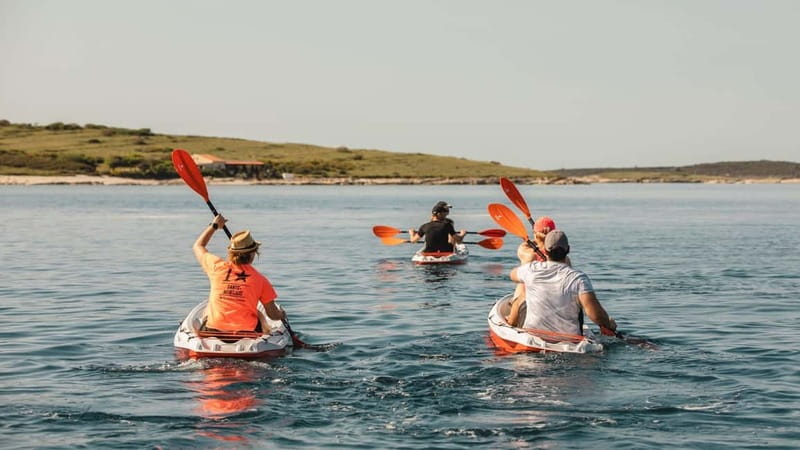 ADVENTURE KAYAK TOUR SEAGULLS ROCKS AND MILITARY ZONE - Key Points