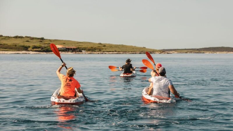 ADVENTURE KAYAK TOUR SEAGULLS ROCKS AND MILITARY ZONE - Who Should Consider This Tour?