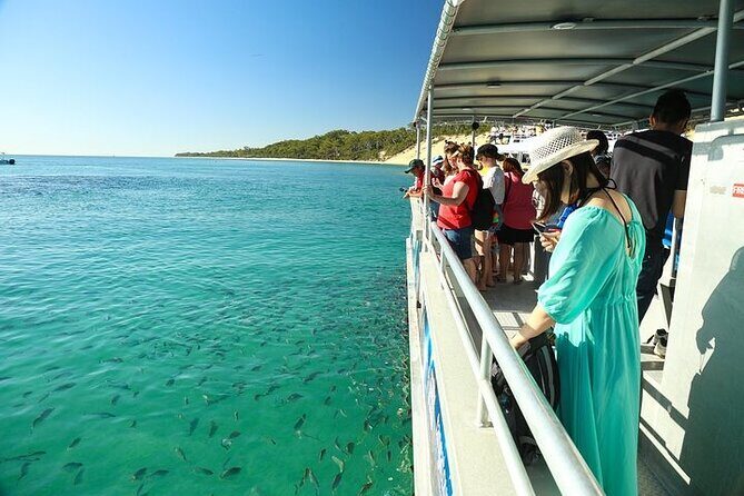 Adventure Moreton Island Wrecks Adventure Package - A Deep Dive into the Adventure Moreton Island Wrecks Adventure Package