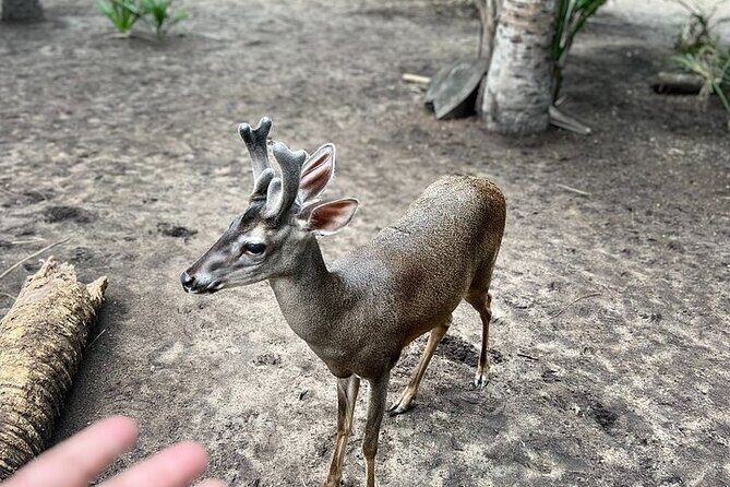 Adventure on the Emerald Coast Ventanilla, Mazunte, Puerto Ángel - The Sum Up: Is It Worth It?