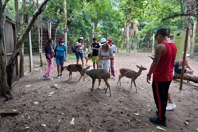 Adventure on the Emerald Coast Ventanilla, Mazunte, Puerto Ángel - FAQ