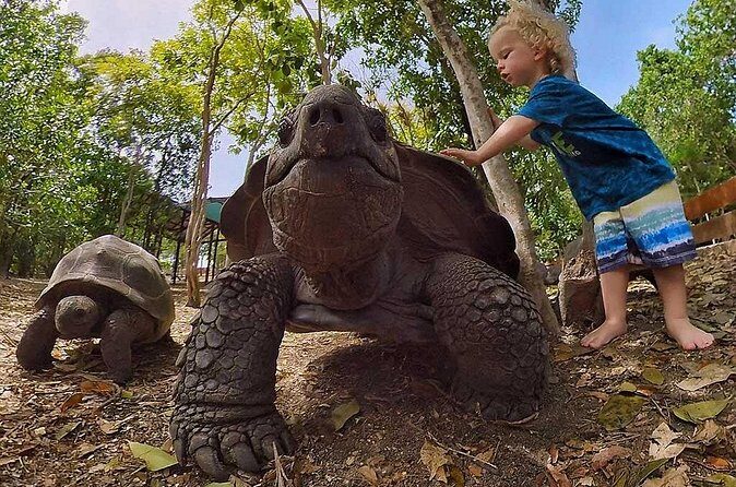 Adventure Power Boat Tour Antigua and Private Laviscount Island - Analyzing the Value  
