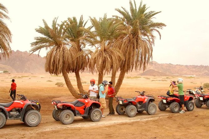 Adventure Quad Biking Tour in Dahab - Pickup and Participation