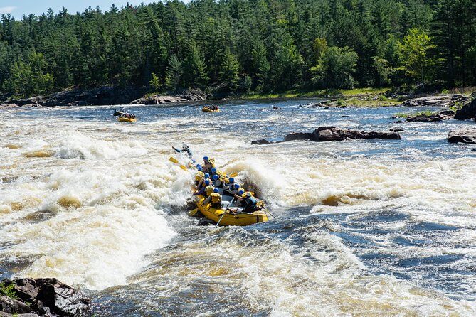 Adventure Rafting on the Ottawa River - Adventure Rafting on the Ottawa River: A Detailed Review