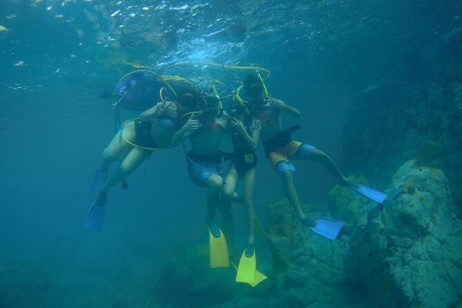 Adventure SNUBA in St. Maarten - The Marine Environment You’ll Encounter