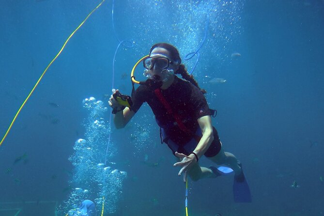 Adventure SNUBA in St. Maarten - Safe and Family-Friendly Activity