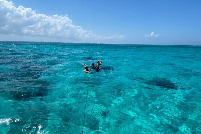 Adventure Stingray City, Snorkeling the Reef and Star Fish Point - Who Is This Tour Best For?