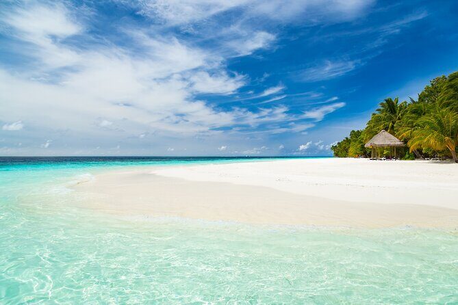 Adventure through the Mayan Jungle Kaan Luum Lagoon & 2 Cenotes - Final Stop: Kaan Luum Lagoon