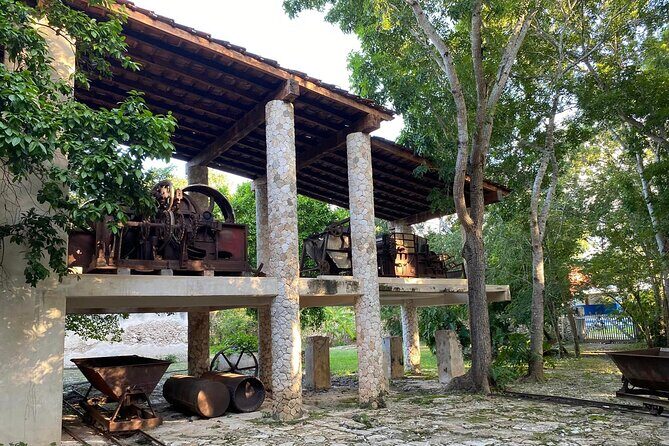 Adventure to Hacienda Mucuyche & Oxkintok, 2 cenotes from Mérida - A Detailed Look at the Tour Experience