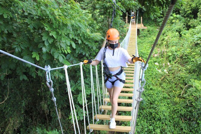 Adventure Trail Tour in the foothills of the National Rainforest - A Detailed Look at the Adventure Trail Experience