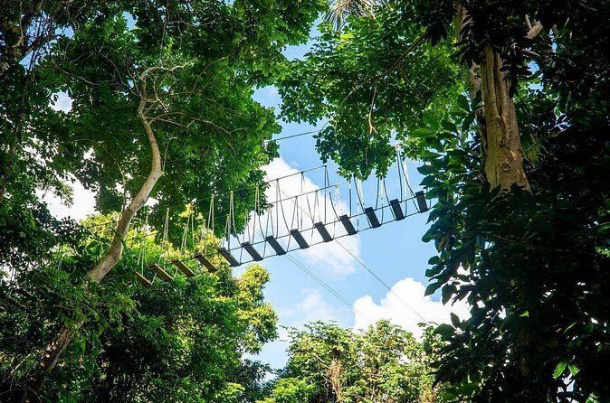 Adventure Trail Tour in the foothills of the National Rainforest - Frequently Asked Questions (FAQs)