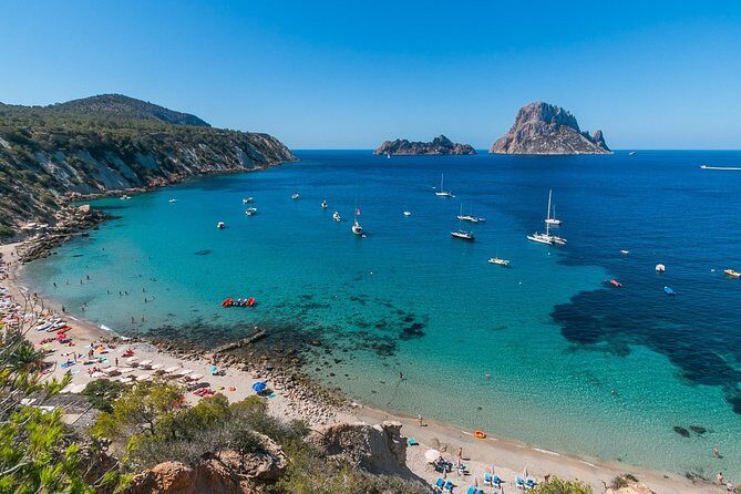 Adventurecat Half day tour - Boat Rental - No license required. - What Our Reviews Say