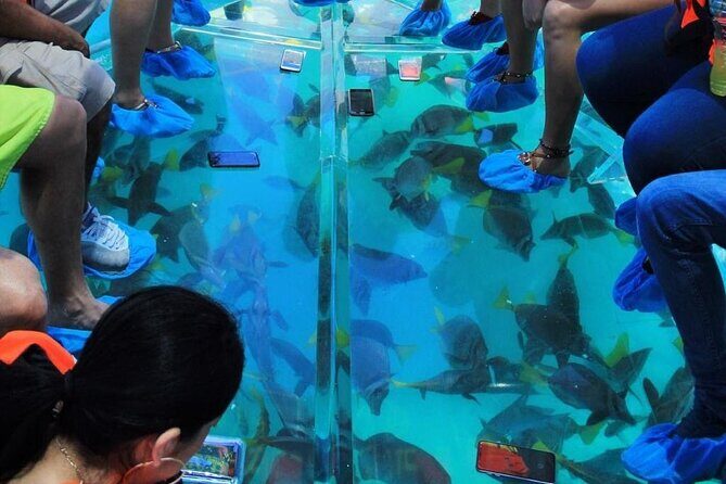 Adventures of the Lost Atlantis Bimini Road - Practical Tips for Travelers