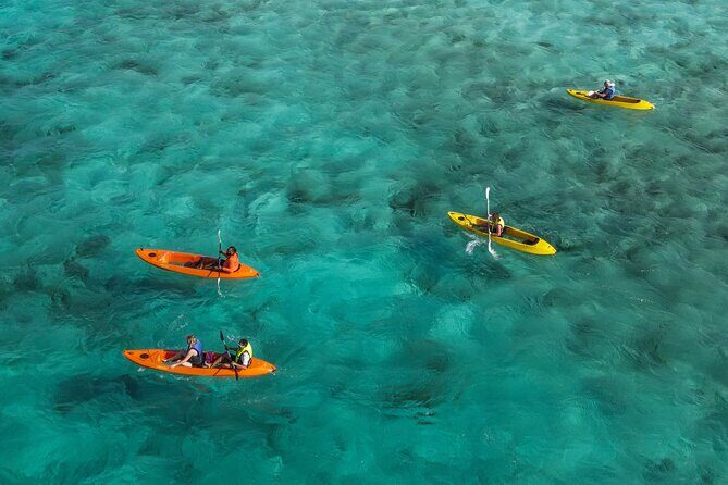 Adventurous Clear Kayak And Snorkeling Tour At Mangel Halto - The Kayaking Experience: What’s It Like?