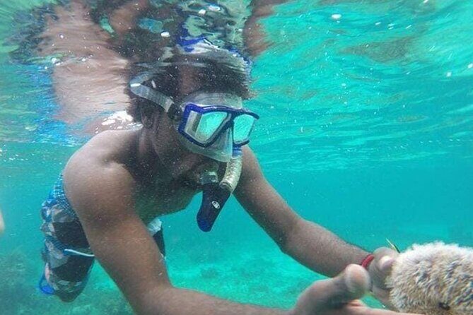 Adventurous-Snorkeling With Sightseeing of Montego Bay - What’s Included and What’s Not