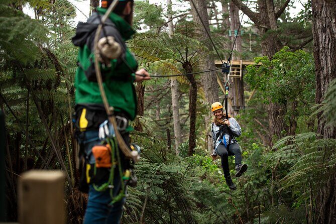 Adventurous Zipline Tour in Coromandel - Key Points