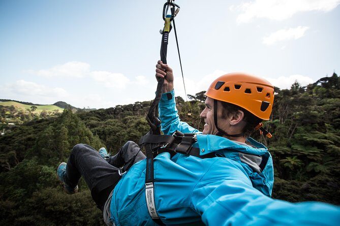 Adventurous Zipline Tour in Coromandel - An itinerary that balances thrill and education