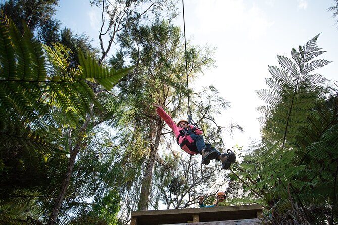 Adventurous Zipline Tour in Coromandel - The Scenic Mountain Railway Ride