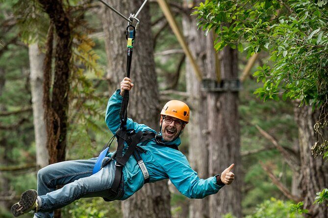 Adventurous Zipline Tour in Coromandel - The Ziplining Experience