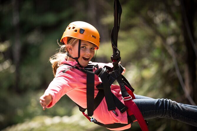 Adventurous Zipline Tour in Coromandel - Support Conservation and Local Arts