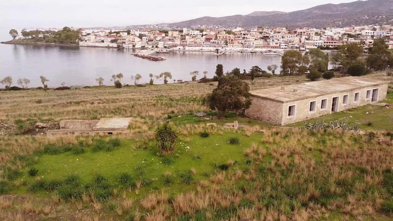 Aegina: Ancient Olive Grove (Eleonas) & Perdika Village Tour - What to Bring & Considerations