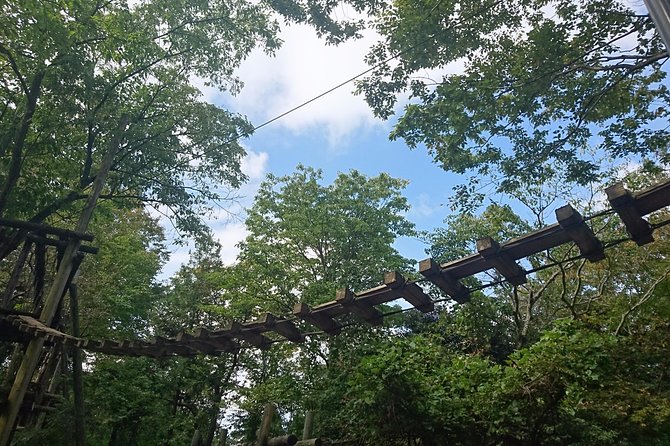 Aerial Athletics (Zipline Adventure) - Facility Usage Fees: Adult and Child Rates