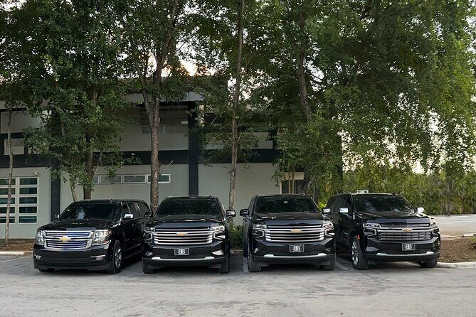 Affordable Private Airport Transfer in Punta Cana - Introduction