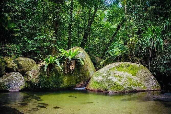Affordable Return Mossman Gorge from Port Douglas Transfers - What Makes This Shuttle Stand Out?