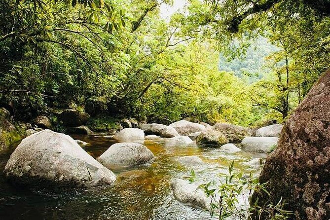 Affordable Return Mossman Gorge from Port Douglas Transfers - The Practical Side: What to Expect