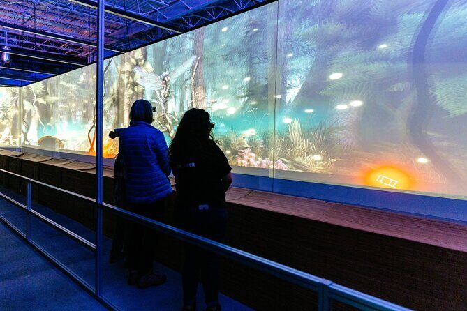 Africa Hologram Adventure at Zoocade - Key Points