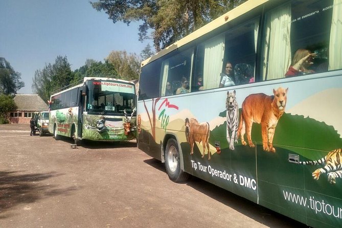 Africam Safari Zoo Admission With Transportation - Pricing and Booking Information
