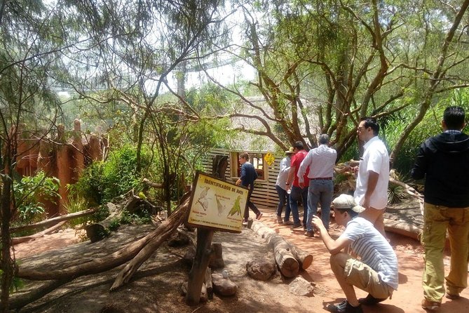 Africam Safari Zoo Admission With Transportation - Frequently Asked Questions (FAQs)