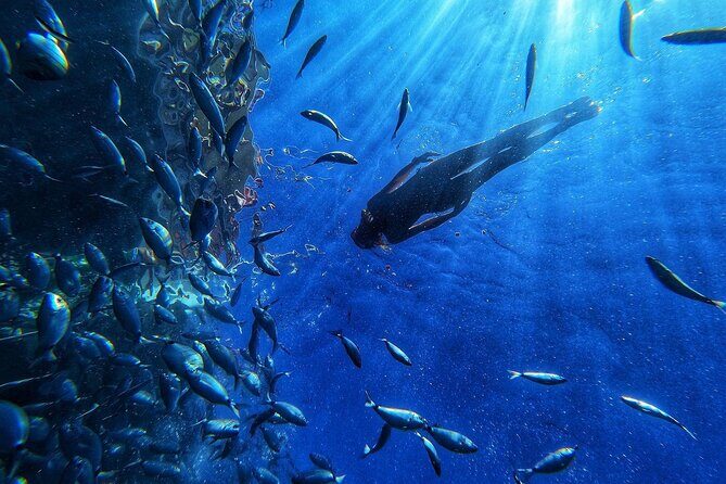 Afrikat Morning Cruise - The Review from Travelers: Authentic Voices