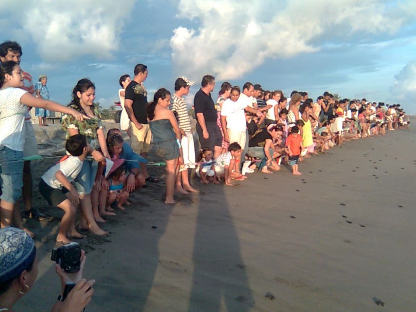 *Afro-Mex Village Horse Ride, Turtle Release Crocodile Farm - Turtles Take Flight