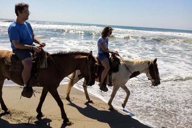 AfroMex Village Beach Horseback Baby Turtle Release & Crocs Farm - Traveler Feedback and Recommendations