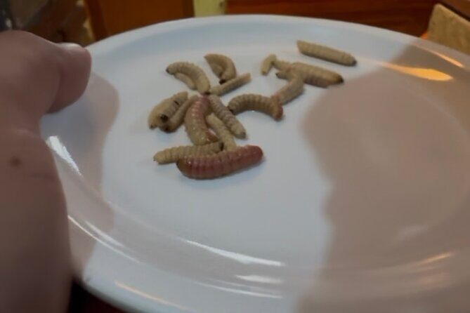 After the footsteps of Nacho Libre in Oaxaca - An In-Depth Look at the Nacho Libre Tour in Oaxaca